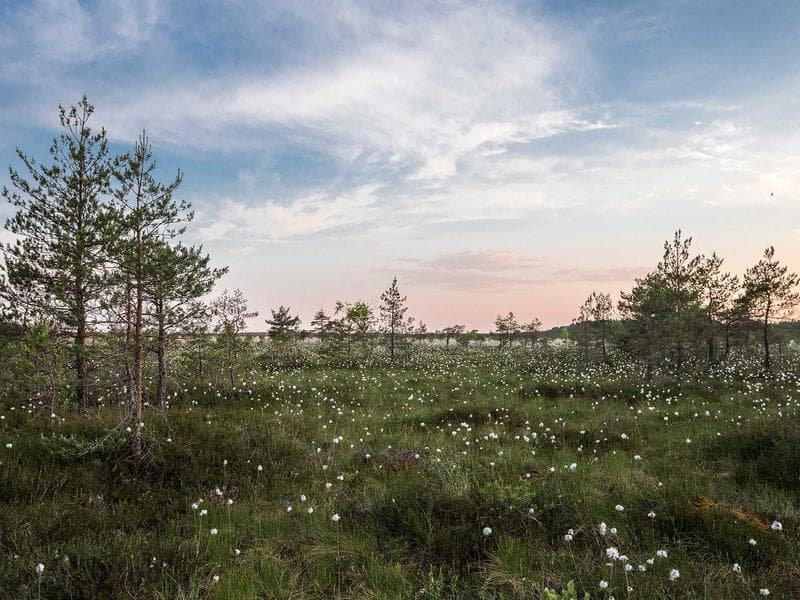 Gonzalo Fernandez Castro — 2